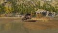 The Kalydonian Boar
