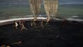 The pirates fighting the fisherman and his men