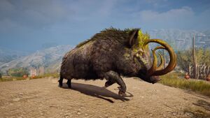 ACOd-ErymanthianBoar.jpg