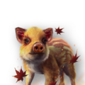 Autumn Boar