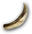 Thumbnail for version as of 00:27, 23 January 2026
