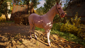 ACV Hairless Horse.png