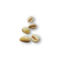Thumbnail for version as of 00:09, 23 January 2026