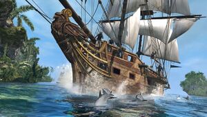 AC4 - Jackdaw.jpg