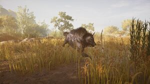 ACOD Krokottas Hyena.jpg