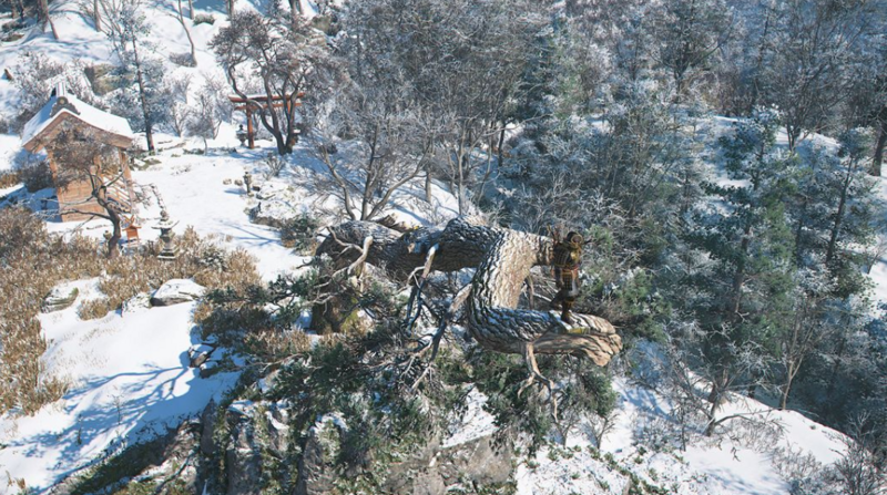 File:ACSH Ginkakuji Source 1.png