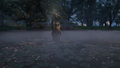 Thumbnail for version as of 00:31, 23 January 2026