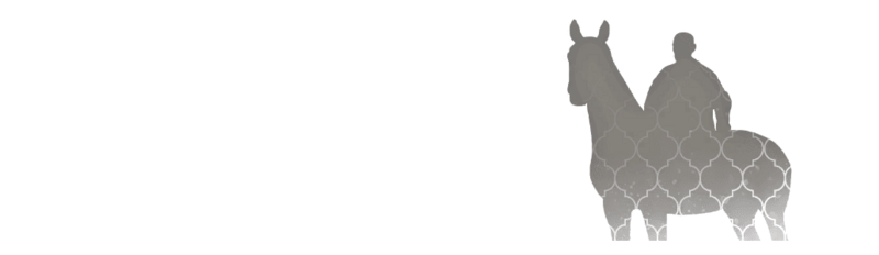 File:DTMB - Mission Road Step 01 Choice 02.png