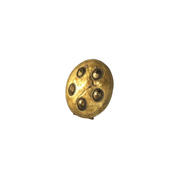 File:ACBFR DB Pectoral Disk.webp