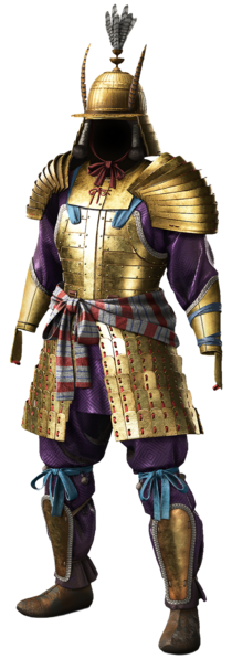 File:ACSH DB Guardian Armor.png
