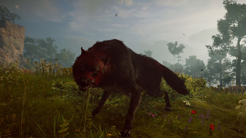 File:ACOd-LykaonWolfbloody.jpg