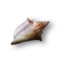 Thumbnail for version as of 00:13, 23 January 2026