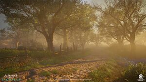 ACV Epinga Forest 10.jpg