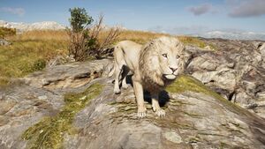 ACOd-MakedonianLion.jpg