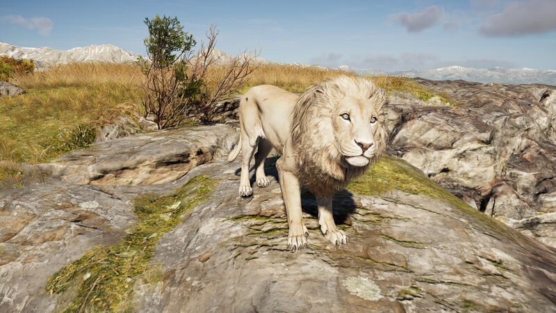 File:ACOd-MakedonianLion.jpg