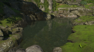 ACSH Uchinakao Burrows 1.png