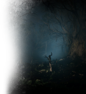 ACV DB Epinga Forest.png