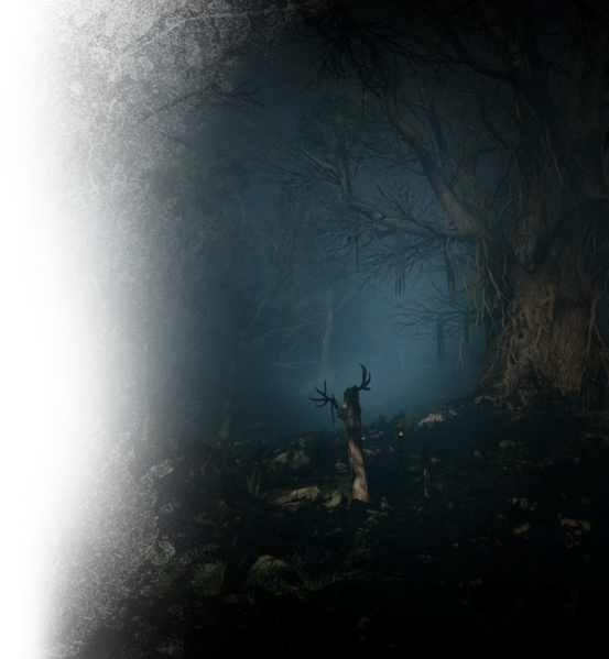 File:ACV DB Epinga Forest.png
