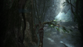 Thumbnail for version as of 00:05, 23 January 2026
