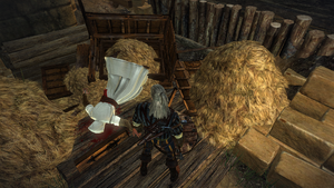 Witcher2 Assassin.png