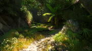 Animus EGO Database image