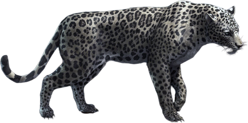 File:ACBFR DB White Jaguar.png