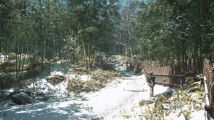 ACSH Bamboo Grove 1.png